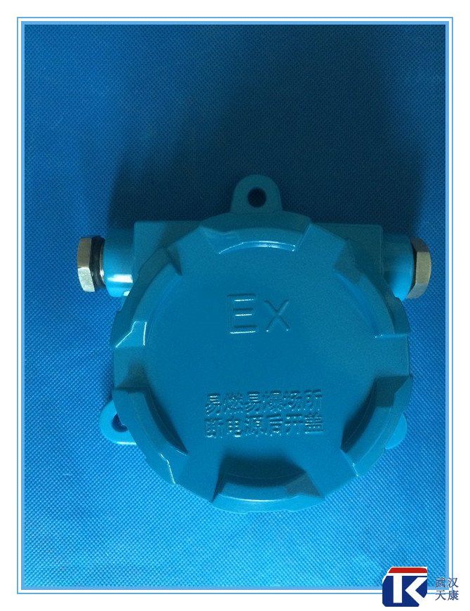 壁掛式防爆熱電阻/pt100、4-20mA輸出