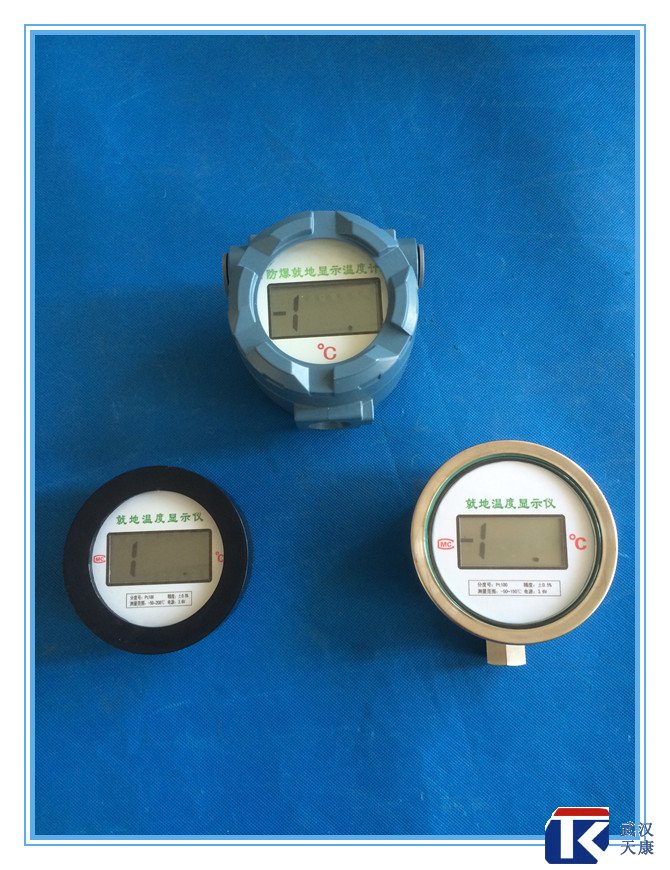 無(wú)源數(shù)顯溫度傳感器、無(wú)需外接電源、鋰電池供電